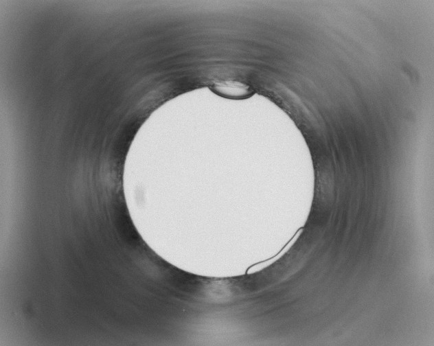 X0000116110091201001041020