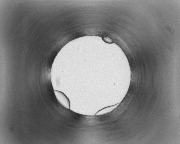 X0000116110095201001041020