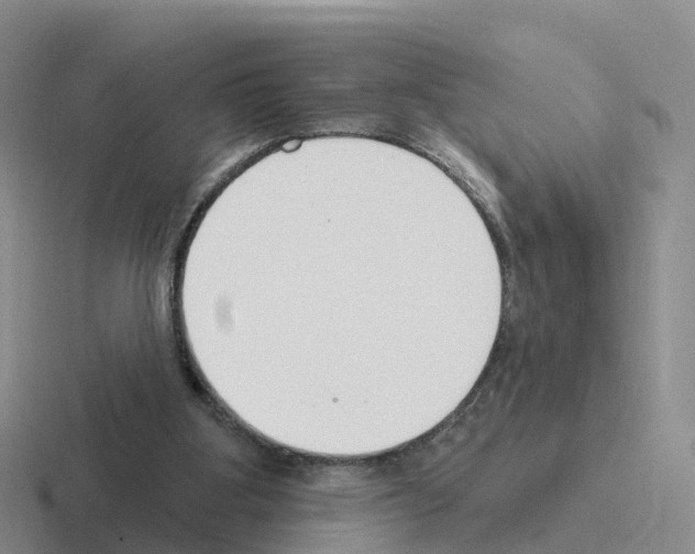 X0000116110107201001041019