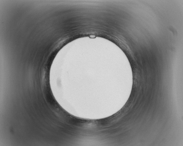 X0000116110116201001041019