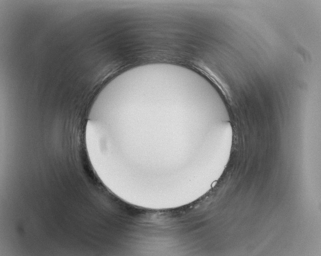 X0000116110117201001041019