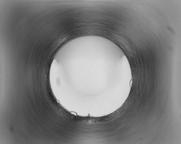 X0000116110120201001041019