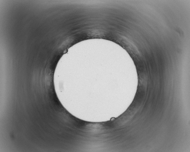 X0000116110133201001041019