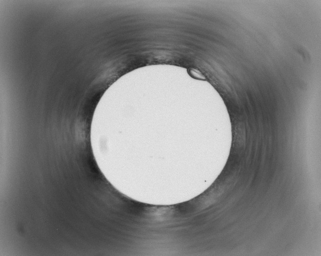 X0000116110135201001041019