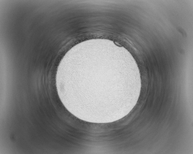 X0000116110136201001041019