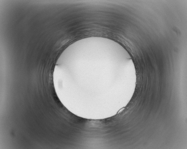X0000116110137201001041019