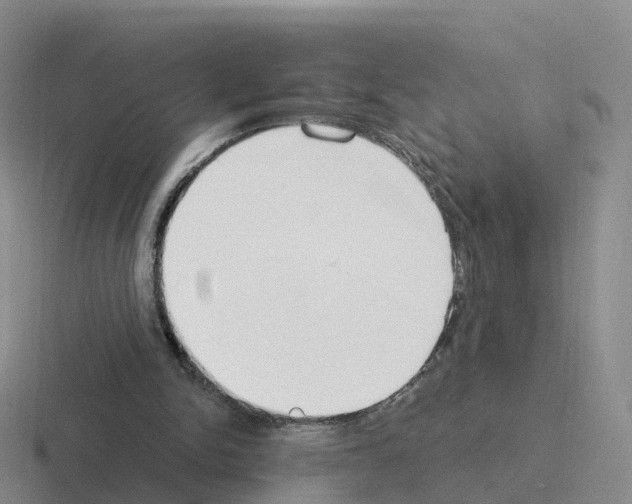 X0000116110150201001041018