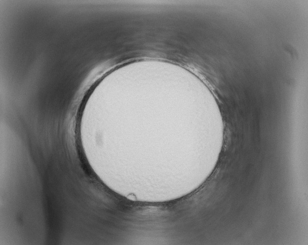 X0000116110151201001041018
