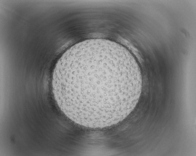 X0000116110153201001041018
