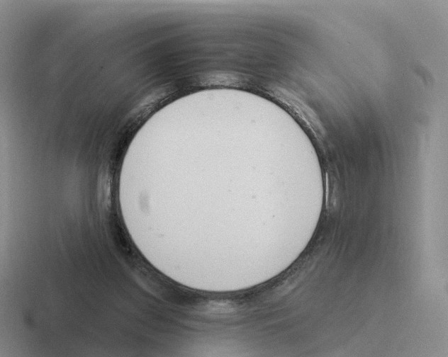 X0000116110157201001041018