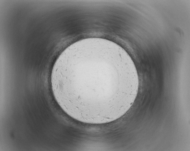 X0000116110162201001041018