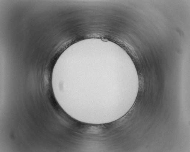 X0000116110166201001041018