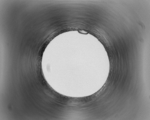 X0000116110174201001041018