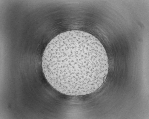 X0000116110179201001041018