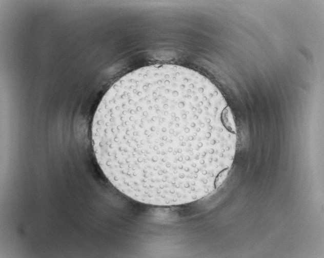 X0000116110187201001041018
