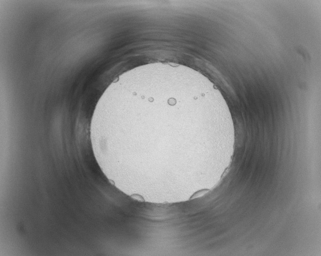 X0000116110191201001041019