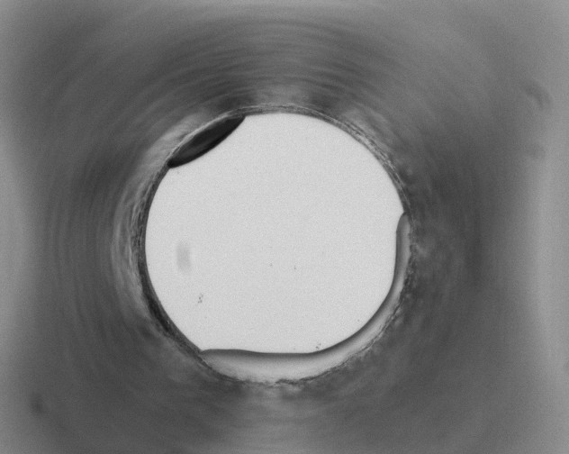 X0000116110193201001041018