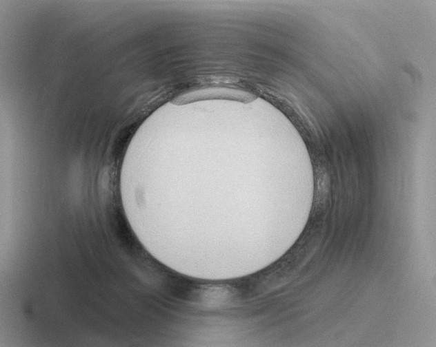 X0000116110218201001041018