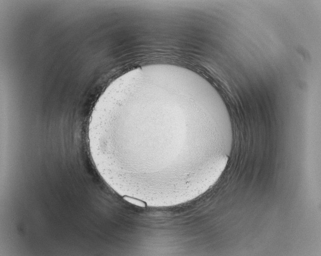 X0000116110221201001041018