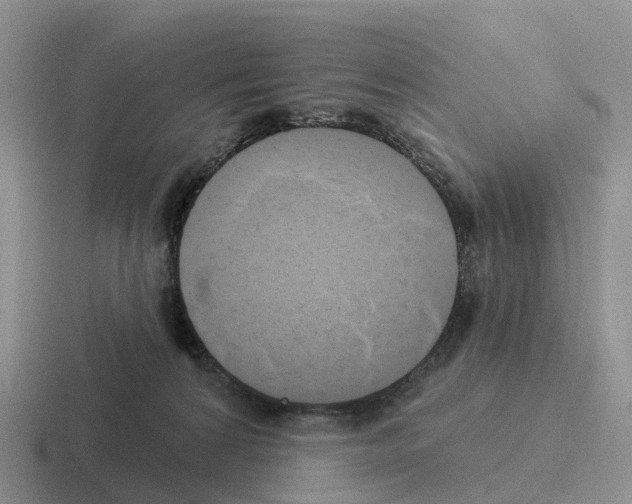 X0000116110224201001041018