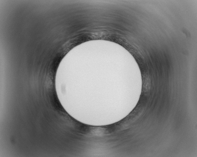 X0000116110226201001041018