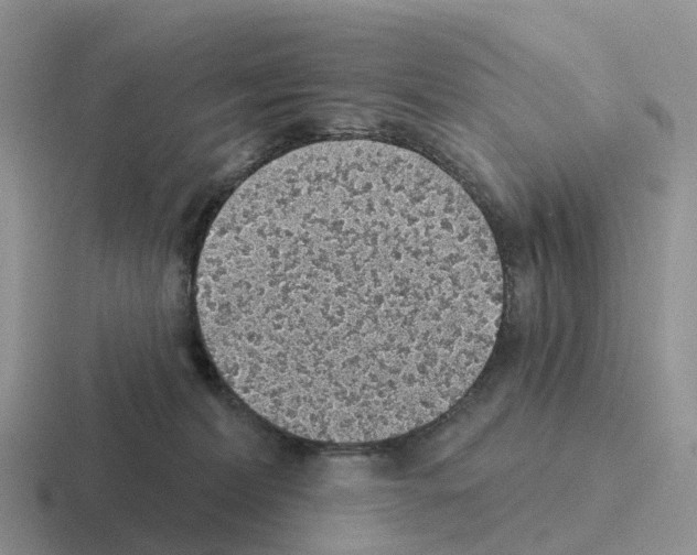 X0000116110228201001041017
