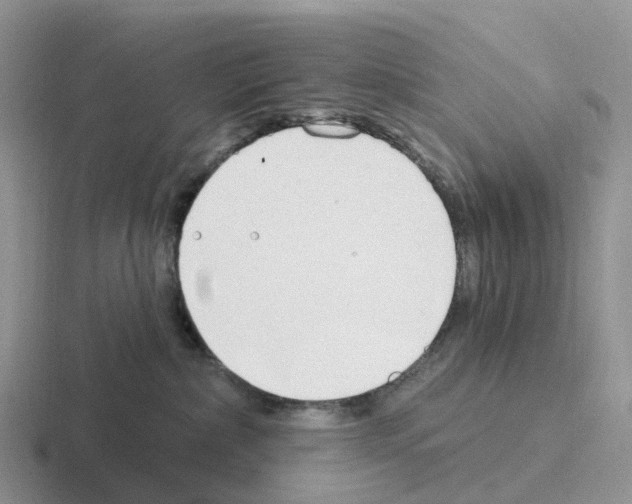 X0000116110236201001041017