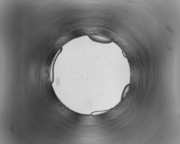 X0000116110237201001041017