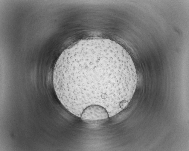 X0000116110238201001041017