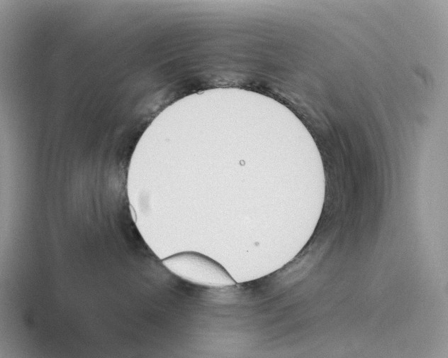 X0000116110240201001041017