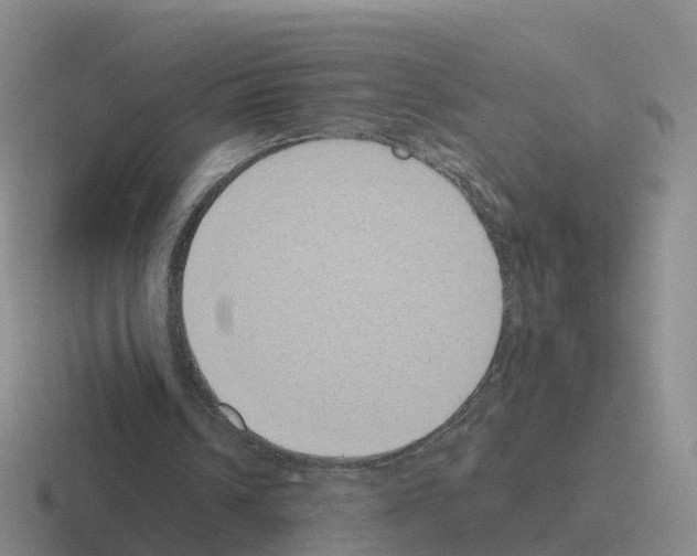 X0000116110242201001041017