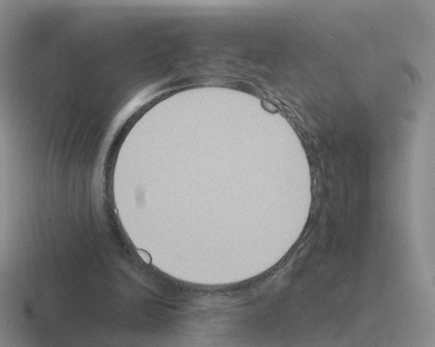 X0000116110246201001041017