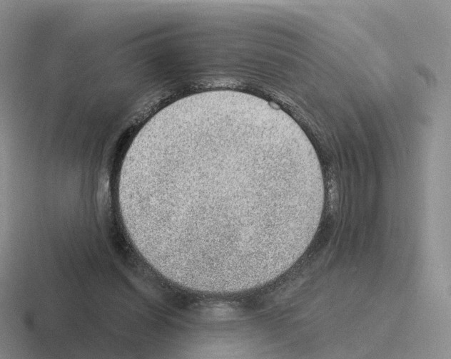 X0000116110254201001041017