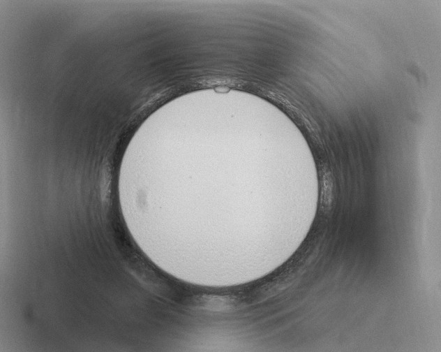 X0000116110255201001041017