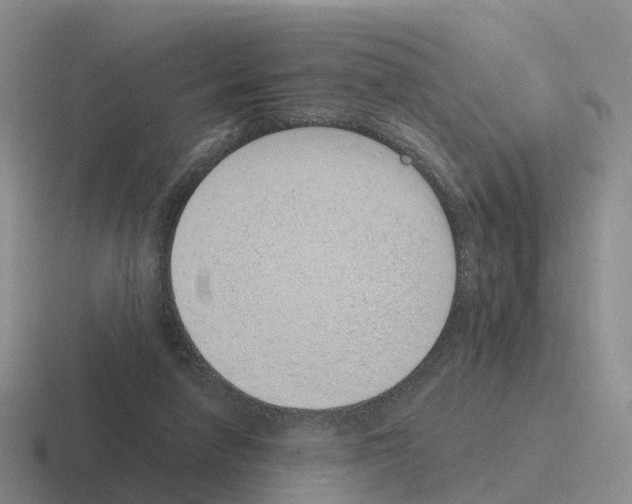 X0000116110258201001041017