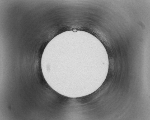 X0000116110269201001041017