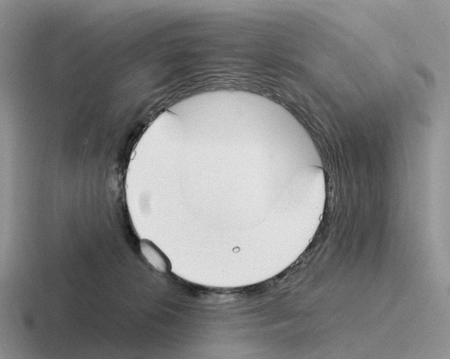 X0000116110276201001041017