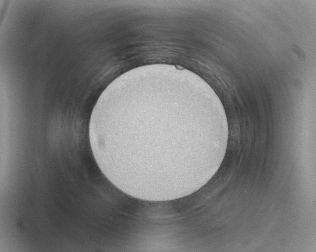 X0000116110278201001041017