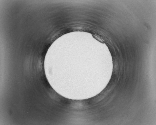 X0000116110282201001041017