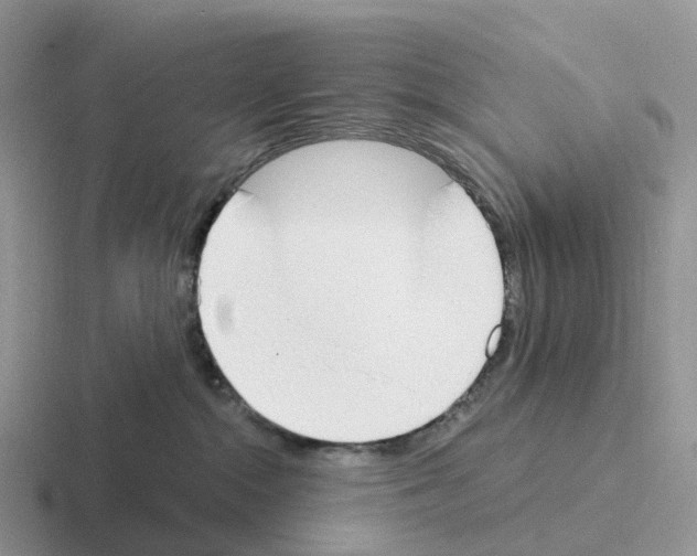 X0000116110284201001041017