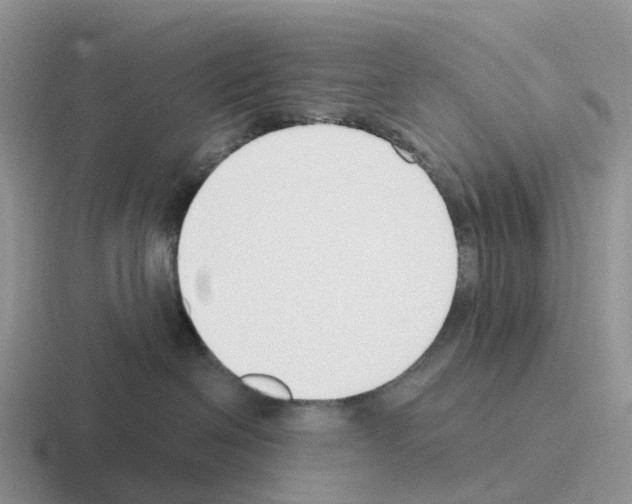 X0000116110286201001041017