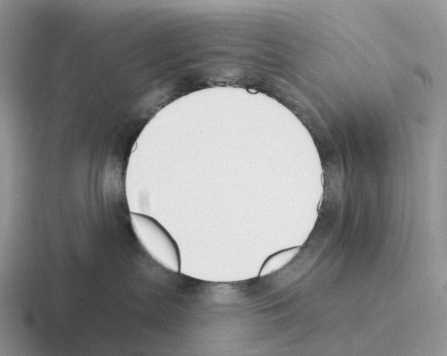X0000116110287201001041017