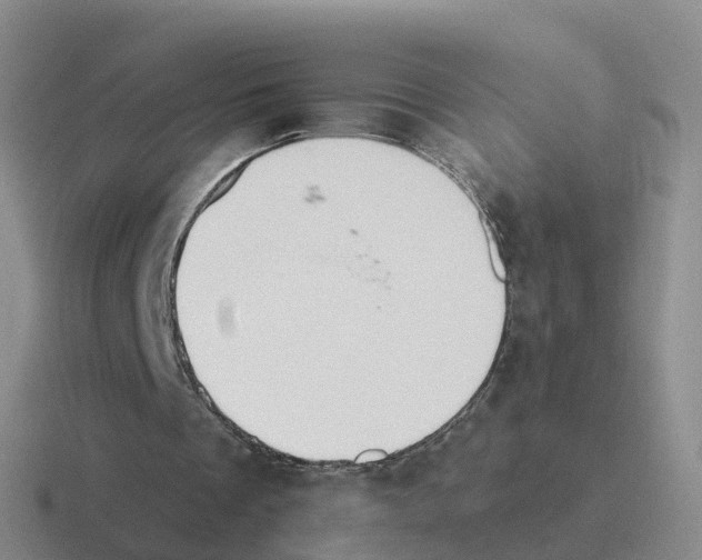 X0000116110289201001041017