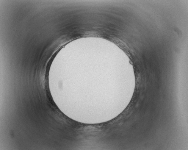 X0000116110290201001041017