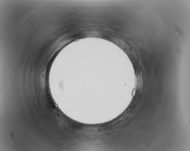X0000116110291201001041017