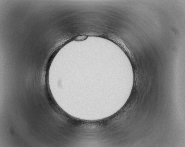 X0000116110299201001041017