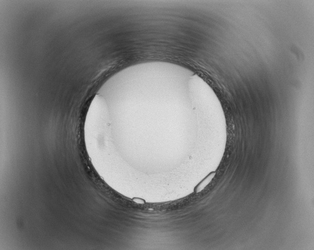 X0000116110308201001041016