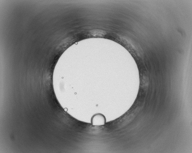 X0000116110321201001041016