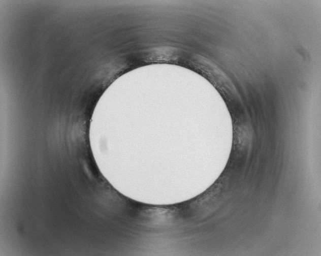 X0000116110326201001041016