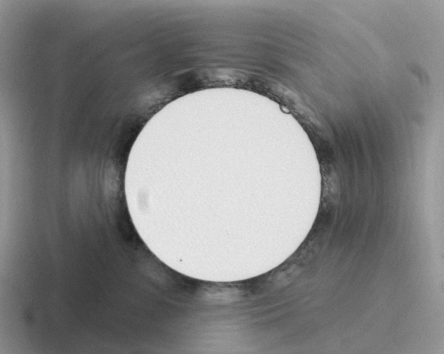 X0000116110331201001041016